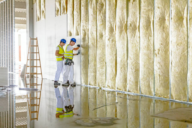 Best Insulation for Specific Applications in Horseheads North, NY